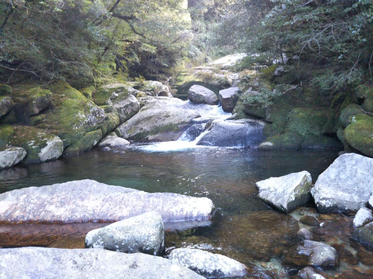 Cottage Yakusugi House Yakushima  Zewnętrze zdjęcie