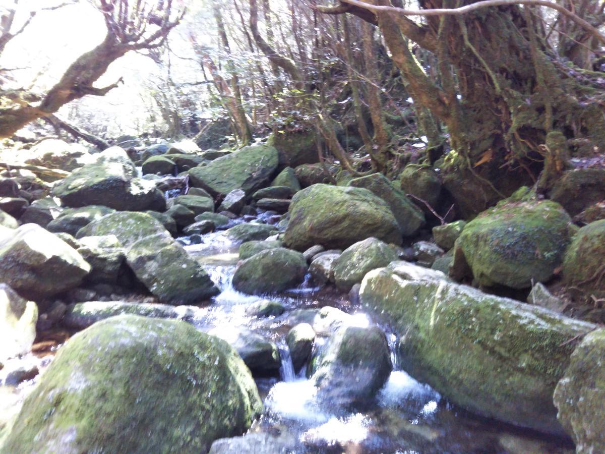 Cottage Yakusugi House Yakushima  Zewnętrze zdjęcie