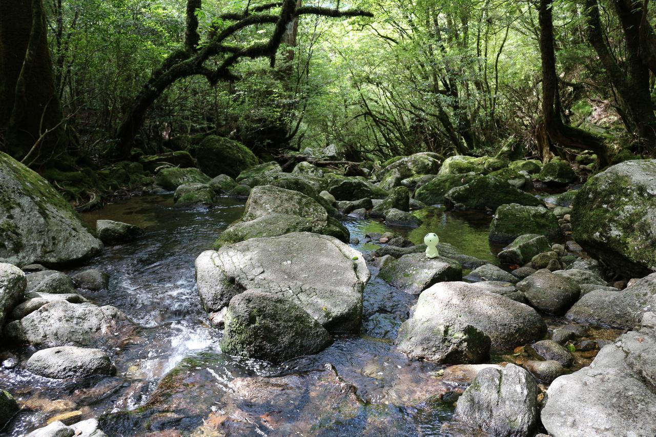 Cottage Yakusugi House Yakushima  Zewnętrze zdjęcie