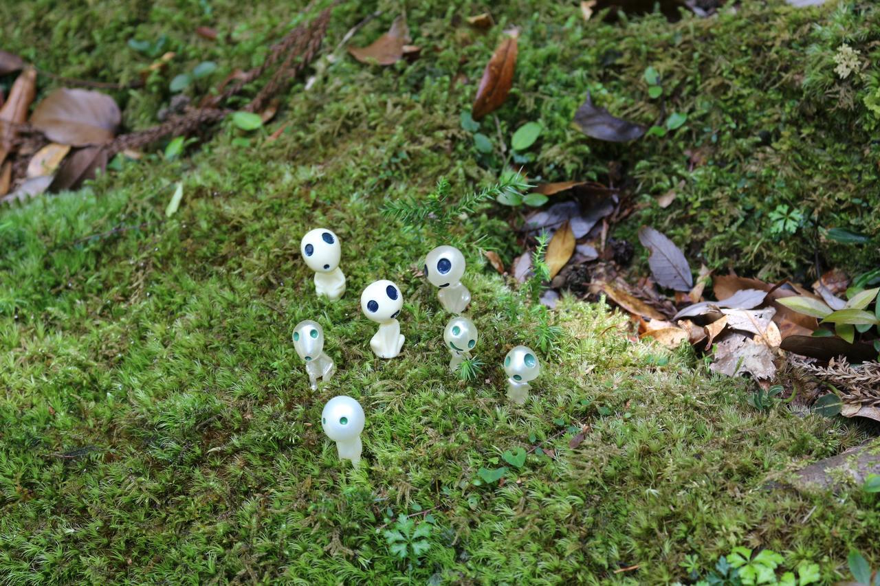 Cottage Yakusugi House Yakushima  Zewnętrze zdjęcie