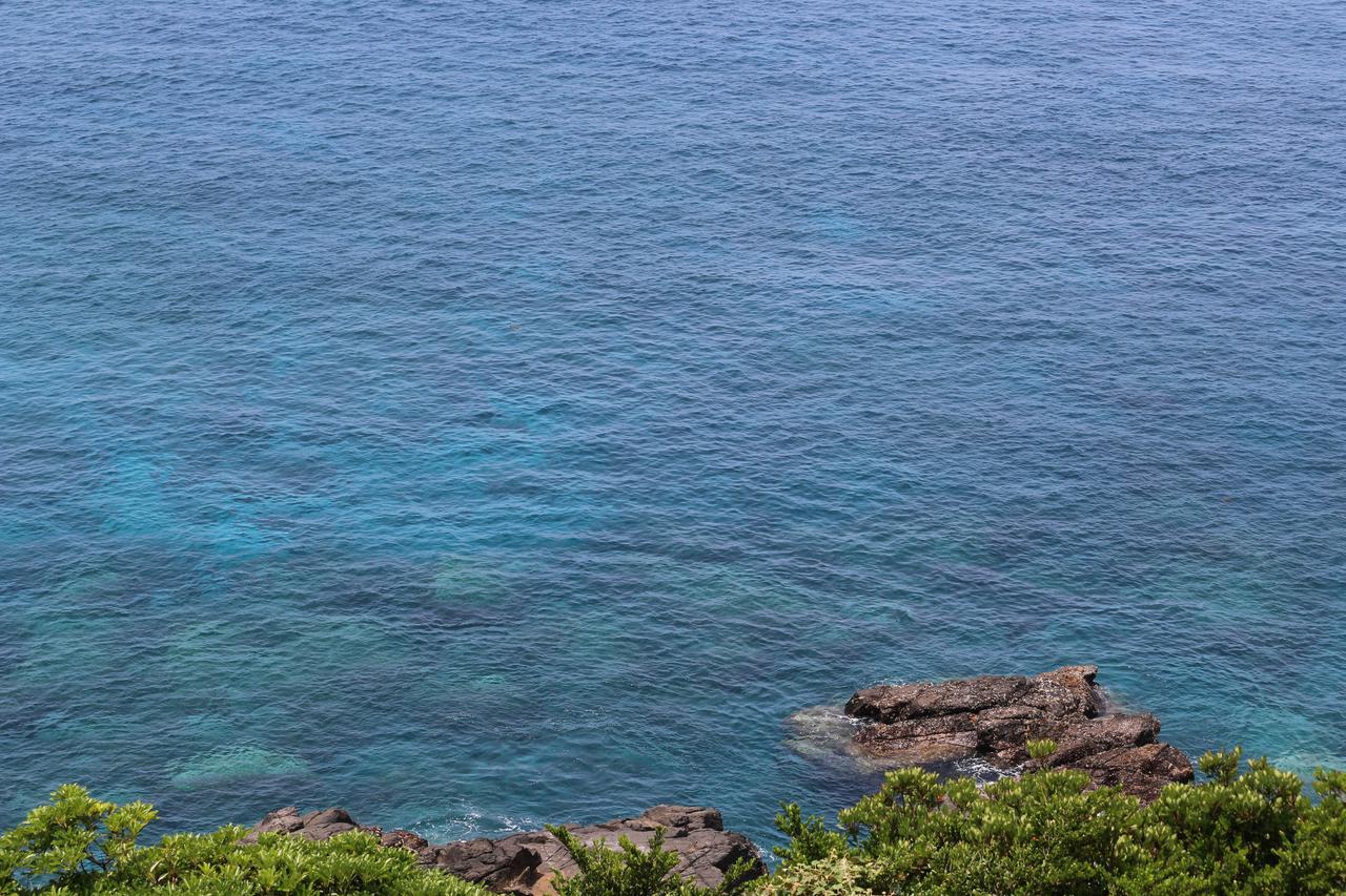 Cottage Yakusugi House Yakushima  Zewnętrze zdjęcie
