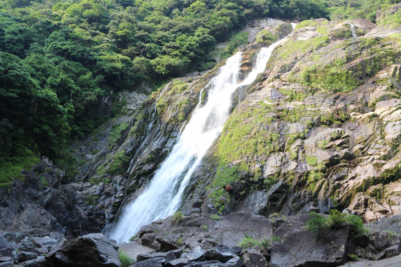 Cottage Yakusugi House Yakushima  Zewnętrze zdjęcie