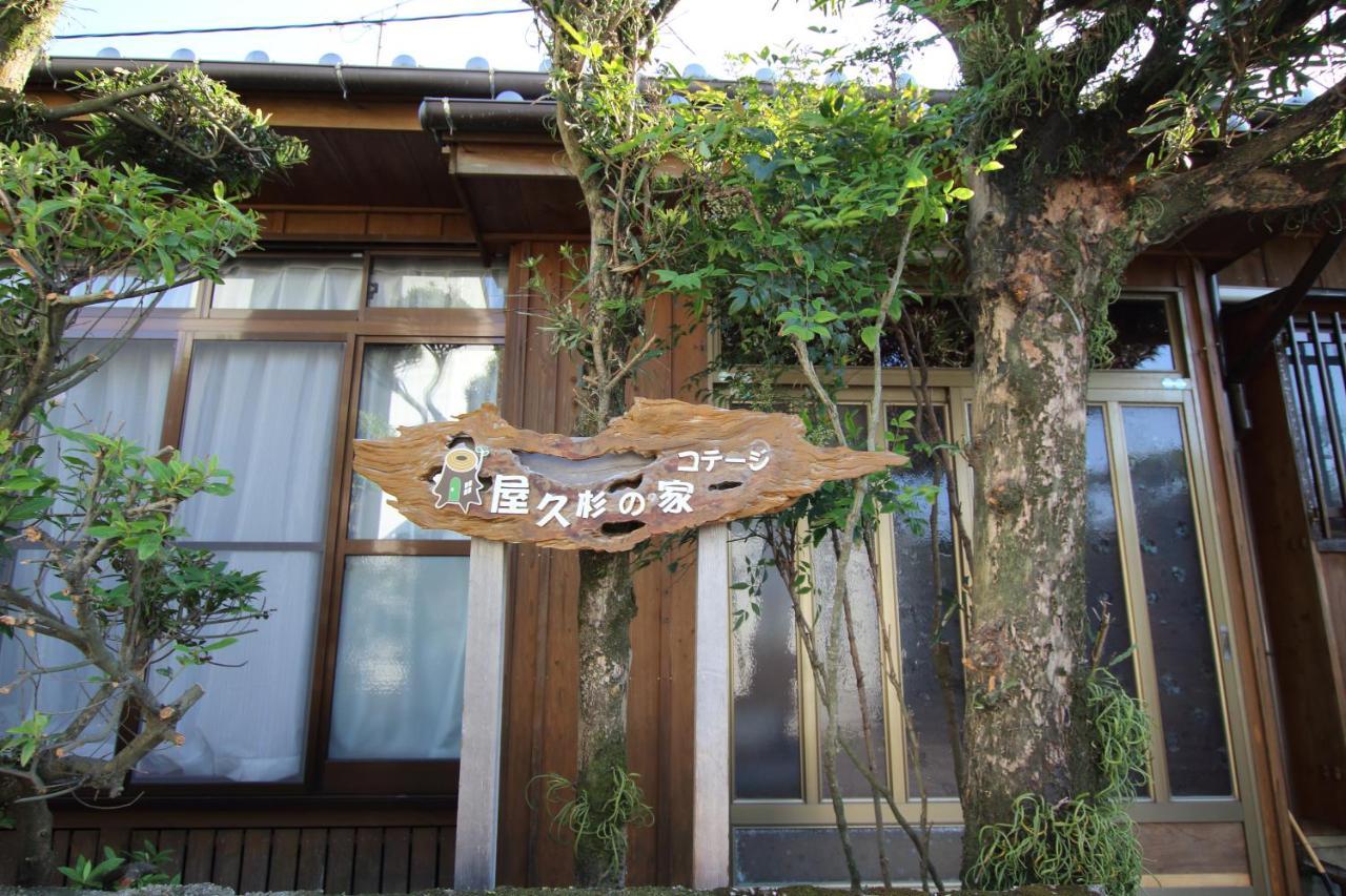 Cottage Yakusugi House Yakushima  Zewnętrze zdjęcie